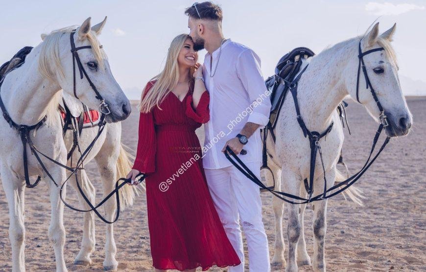 Best 1 Hours Hurghada Horse Riding on the Beach & Desert