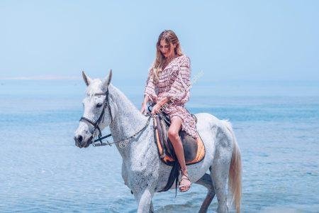 hurghada horse riding