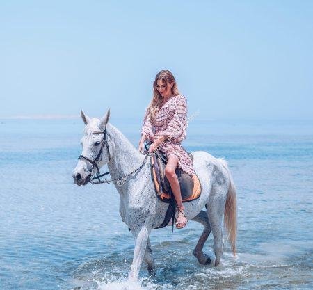 hurghada horse riding