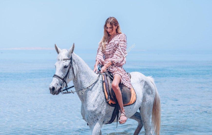 Best 1 Hours Hurghada Horse Riding on the Beach & Desert