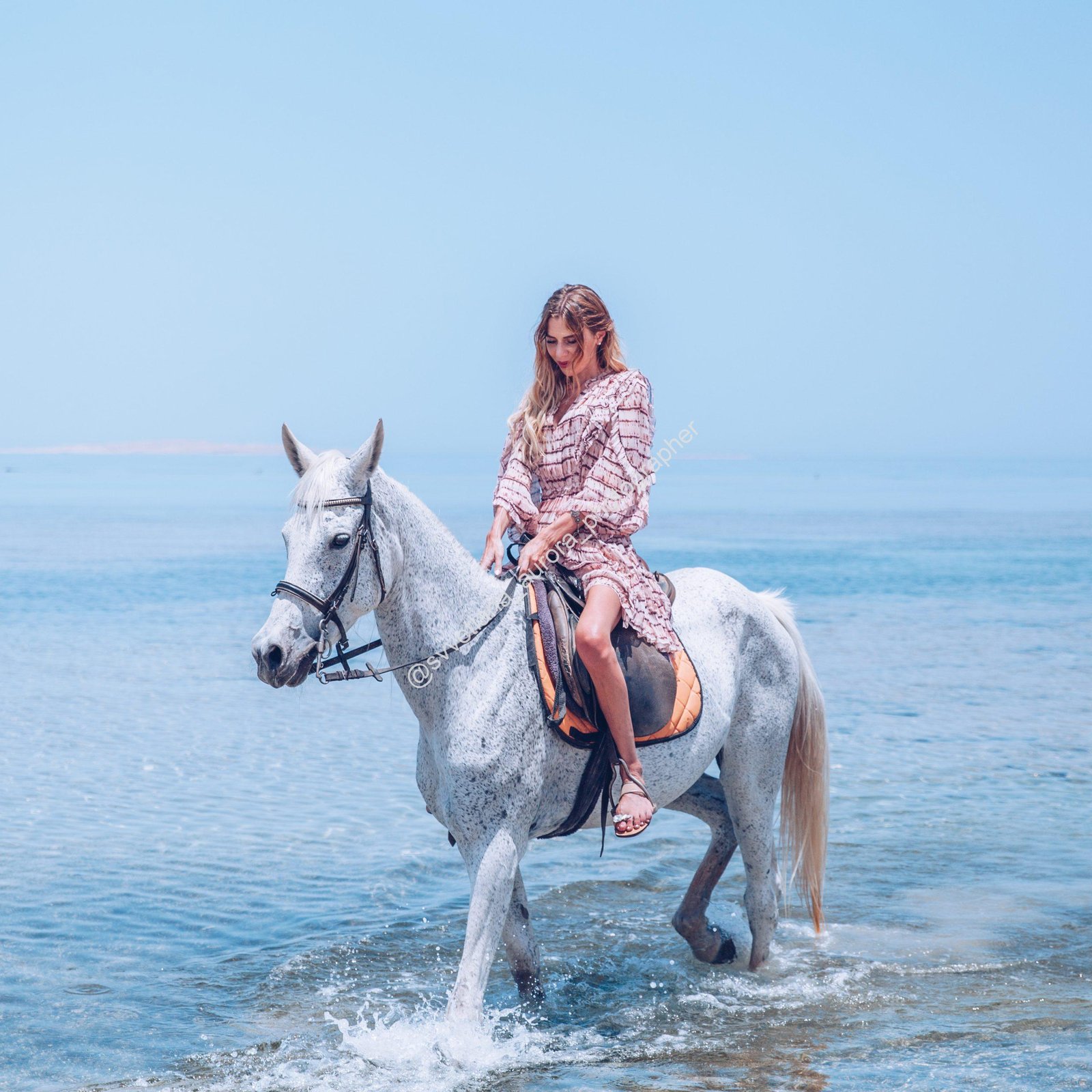 hurghada horse riding
