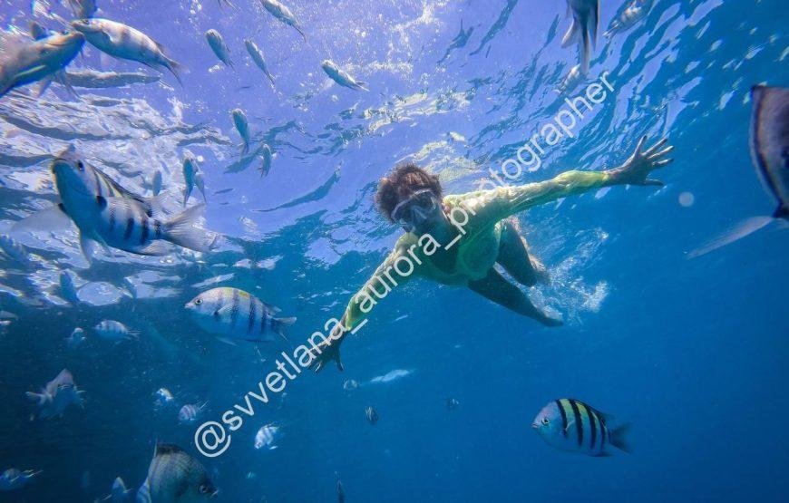 Paradise Beach Hurghada Island Trip With Best Service