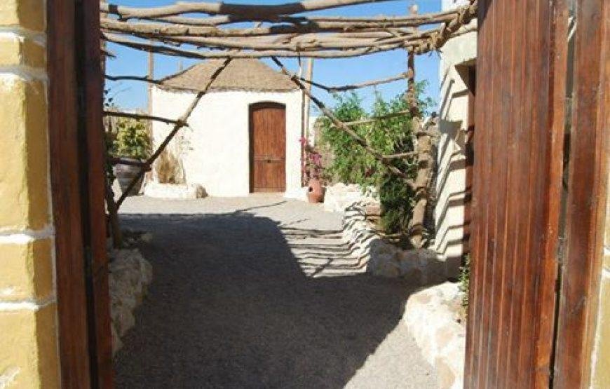 Best Hurghada Safari 3 Hours Morning Quad