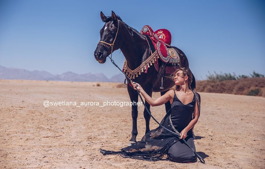 Top Professional Hurghada Photography Excursion